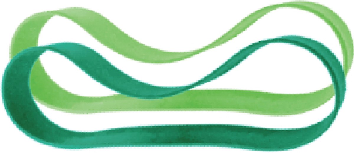 Bandes de silicone Pura pour boîte à lunch - 2 pièces - menthe et mousse