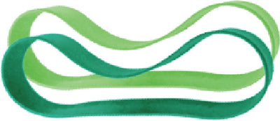 Bandes de silicone Pura pour boîte à lunch - 2 pièces - menthe et mousse