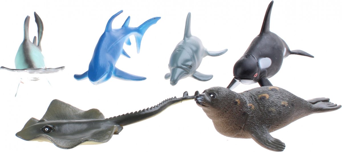 Ocean Dieren, 6e