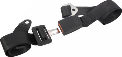 Ceinture de sécurité Carpoint Black réglable à 2 points à 2 points