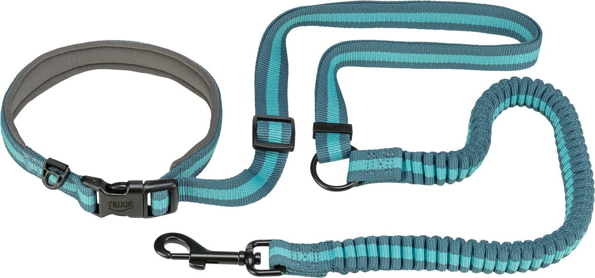Laisse de jogging Trixie - laisse de course pour chien - 133-180x2,0 cm aqua pétrole