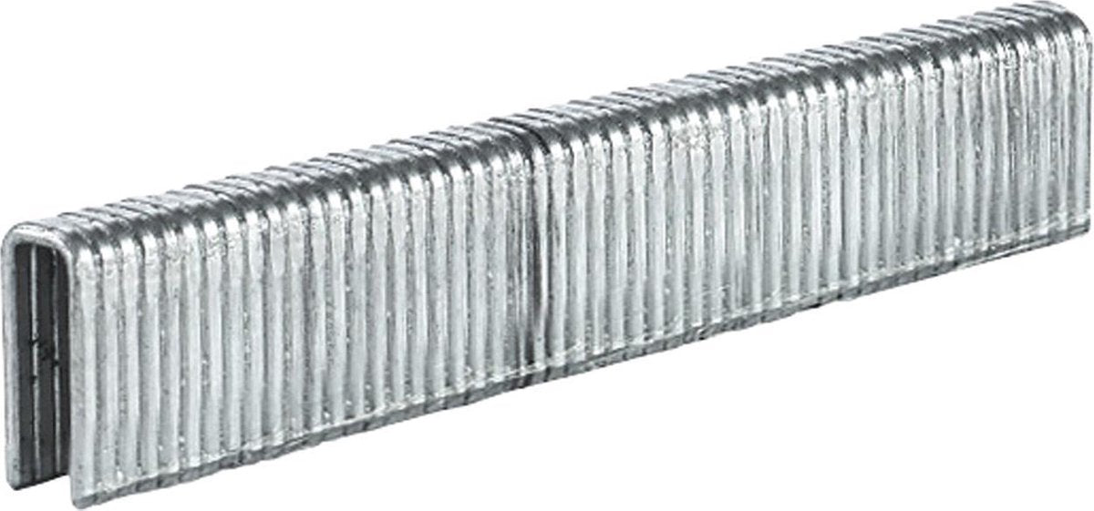 Einhell Staples 5,7 x 13 mm, 3000 pièces