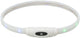 Trixie Luminous Collar Dog USB Silicone rechargeable Multi-Colored