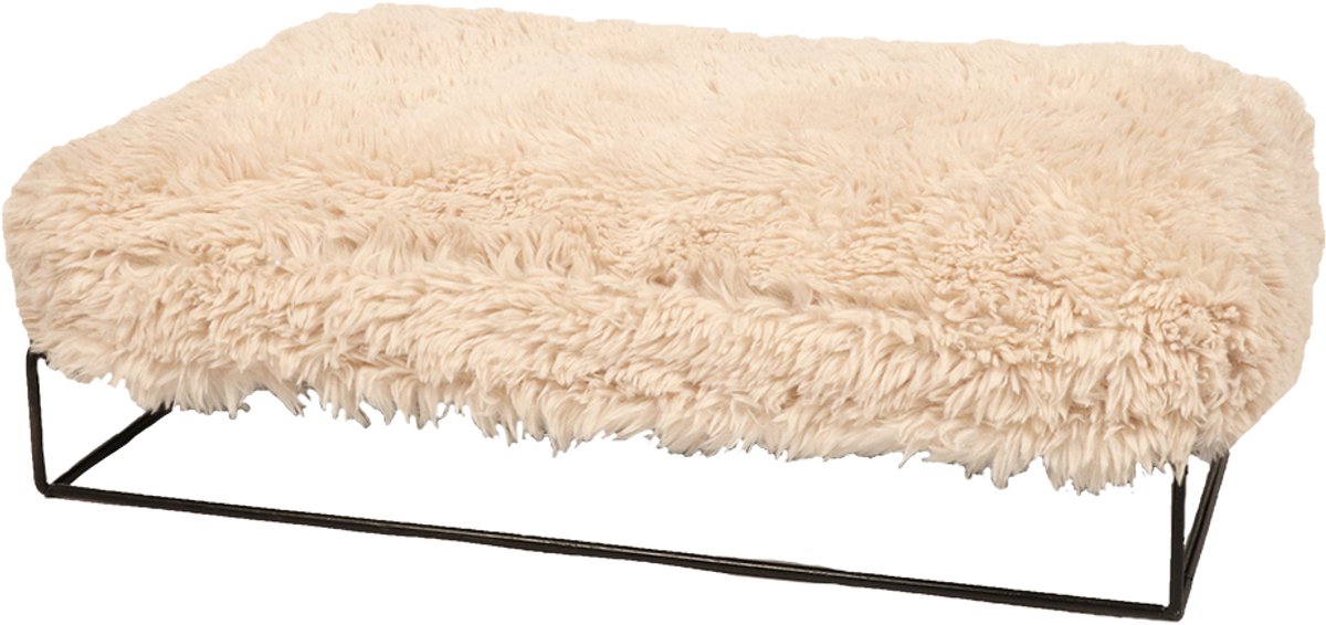 D d home coussin chat amy - avec cadre