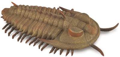Figurine Collecta - redlichia rex trilobite - (l) - préhistoire - peinte à la main - miniature