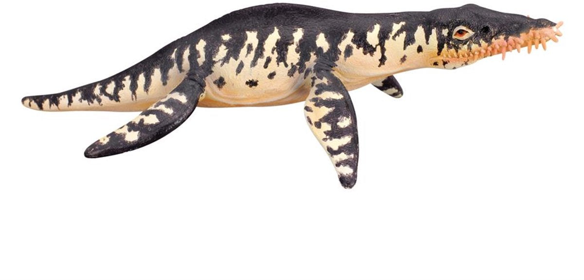 Figurine Collecta - liopleurodon - (l) - préhistoire - peinte à la main - miniature