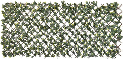 Nature Nature latwerk avec California Liguster vert et jaune Tade 90x180 cm