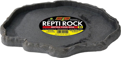 Zoo zoomé avec plat de nourriture pour reptiles xlarge