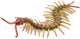 Figurine Collecta - mille-pattes - (l) - insectes - peint à la main - miniature