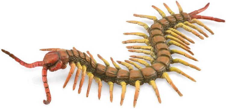 Figurine Collecta - mille-pattes - (l) - insectes - peint à la main - miniature