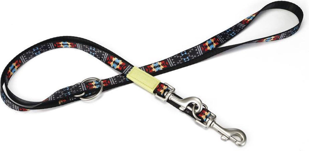 Beeztees mucadi - laisse pour chien - multi - 200 cm x 20 mm