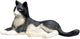 MOJO FARMERS MONTANT CAT NOIR ET BLANC 387367