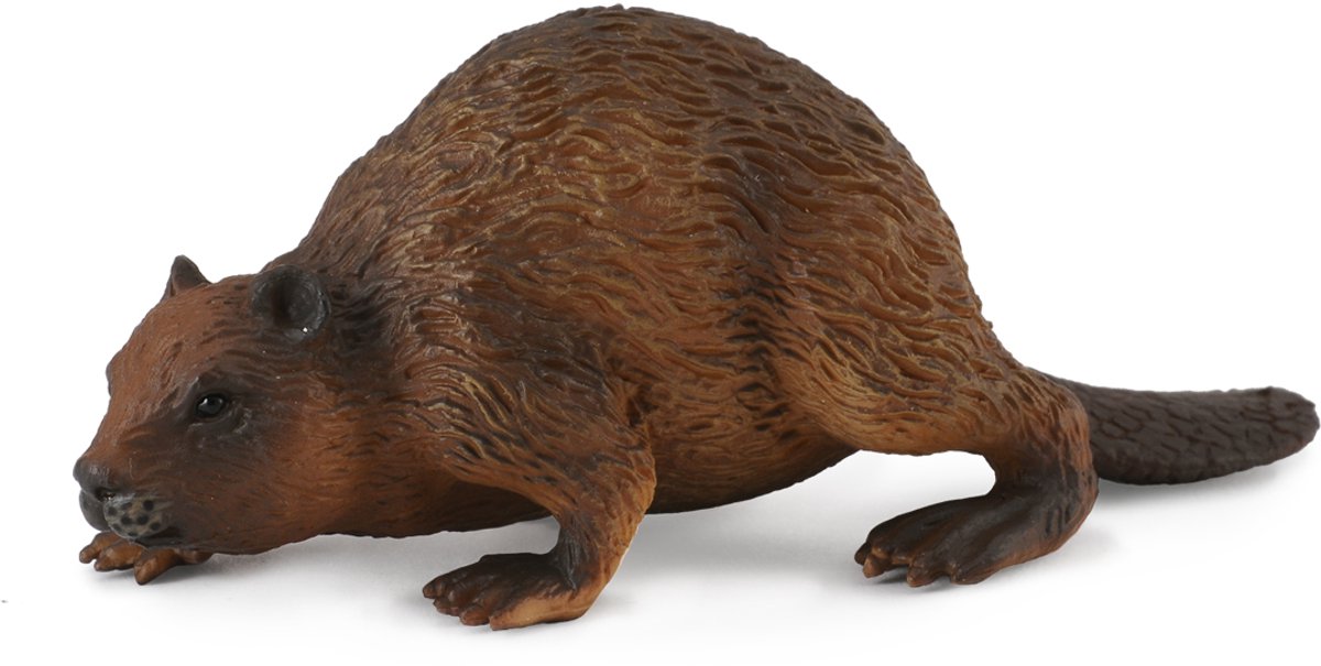 Figurine Collecta - castor - (m) - animaux de la forêt - peint à la main - miniature