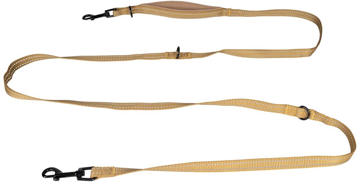 Explor duvoplus ligne d'entraînement Ultimate Fit classique pour chiens 220 cm-16 mm or miel
