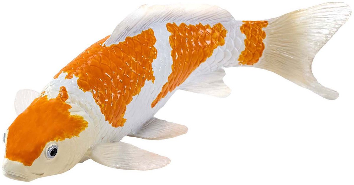 Mojo Seallife Koi Carp - Ochiba Shigure Koi - 381104