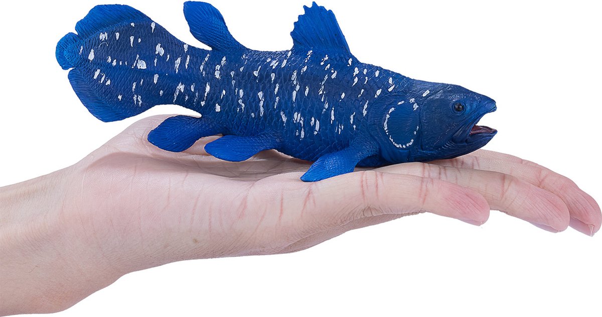 Mojo Seallife Coelacanth 381050