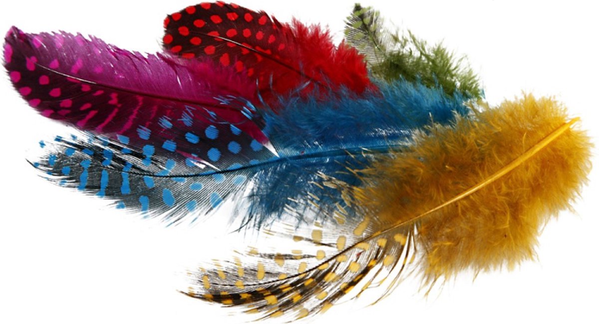 Plumes de pintade Creativ company, env. 100 pièces, différentes couleurs, 3 g 1 boîte