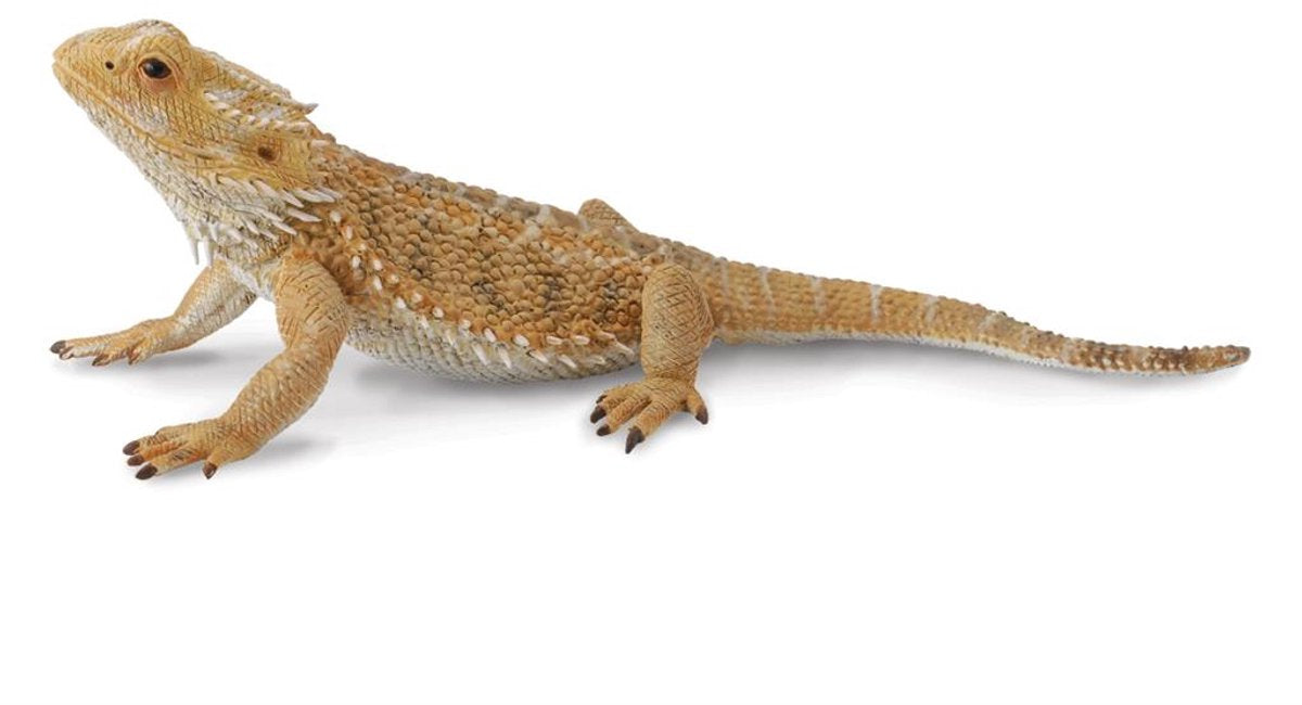 Dragon barbu lézard Collecta - figurine plastique marron de 13,5 cm - à partir de 3 ans