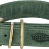 Chien de collier trixie pur cuir saliegroen