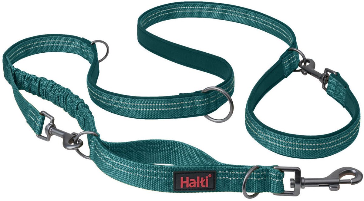 Compagnie d'animaux laisse pour chien turquoise l