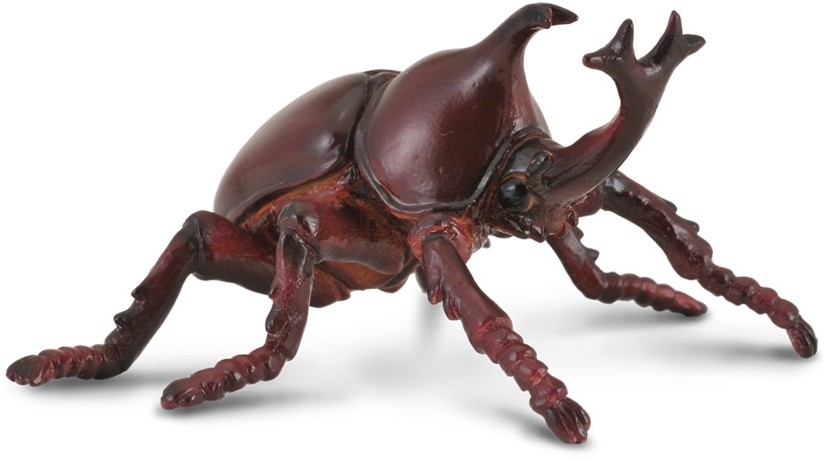 Figurine Collecta - scarabée rhinocéros - (m) - peinte à la main - miniature