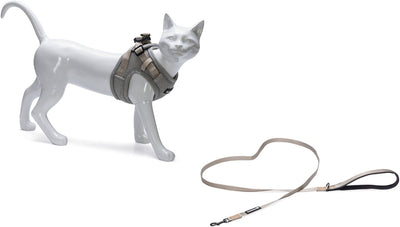 Beeztees Parinca Harnais pour Chat avec Ligne de Marche - Harnais pour Chat - Nylon - Gris Clair - Tour de Poitrine 37-42 cm - Tour de Cou 26-31 cm