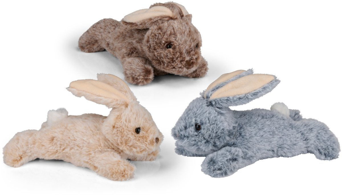 Jouets de Foucault