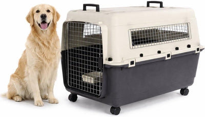 Caisse de voyage Flamingo pour chien - caisse de voiture - boîte de transport pour chien - fomad gris foncé xl (60x90x68,5 cm) - plastique - avec serrure de sécurité de porte en métal - y compris roues pour pots de nourriture et de boisson -