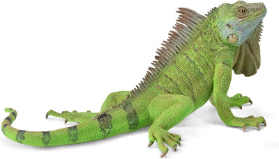 Figurine Collecta - iguane vert - (xl) - animaux sauvages - peint à la main - miniature