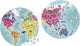 Janod - puzzle - le monde - autour