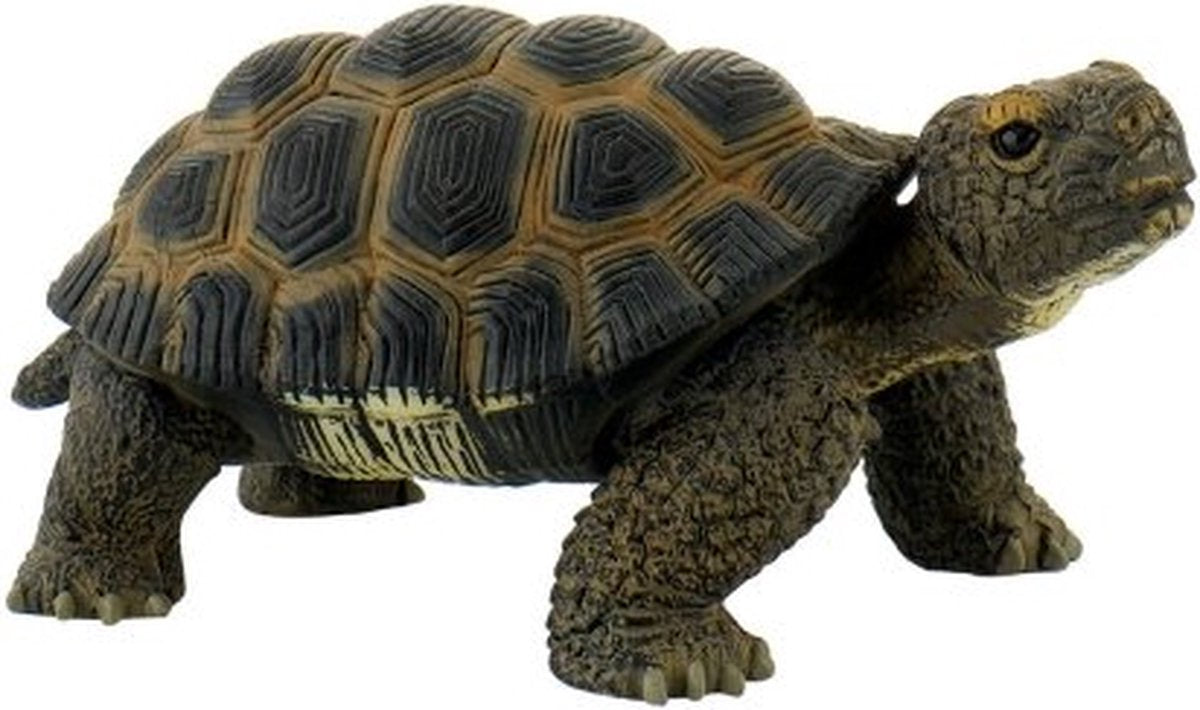 Tortue Bullyland (63553)
