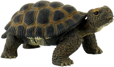 Tortue Bullyland (63553)