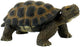 Tortue Bullyland (63553)