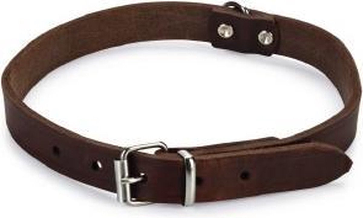 Beeztees - collier pour chien - cuir - marron - 43-52 cm x 20 mm