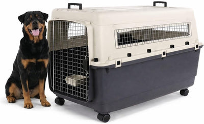 Caisse de voyage Flamingo pour chien - caisse de voiture - boîte de transport pour chien - fomad gris foncé xxl (70x100x69,5 cm) - plastique - avec serrure de sécurité de porte en métal - y compris roues pour pots de nourriture et de boisson -