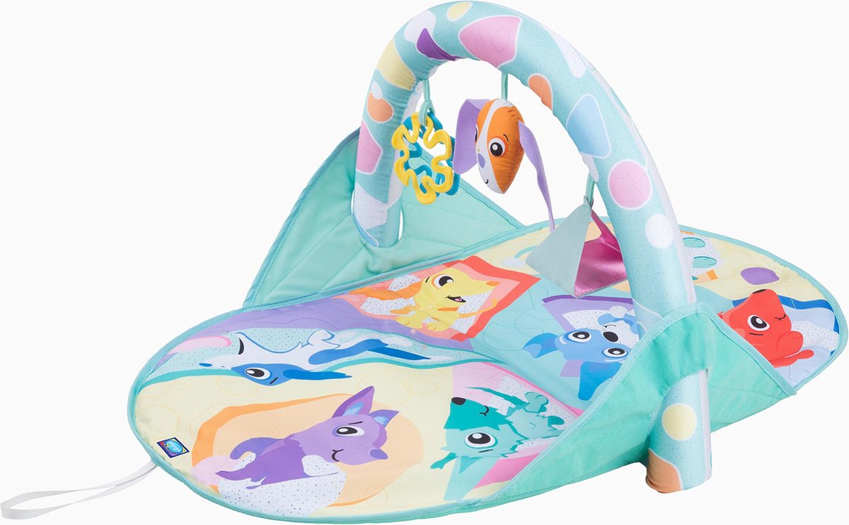 Playgro chiot et moi salle de sport de voyage d'activités