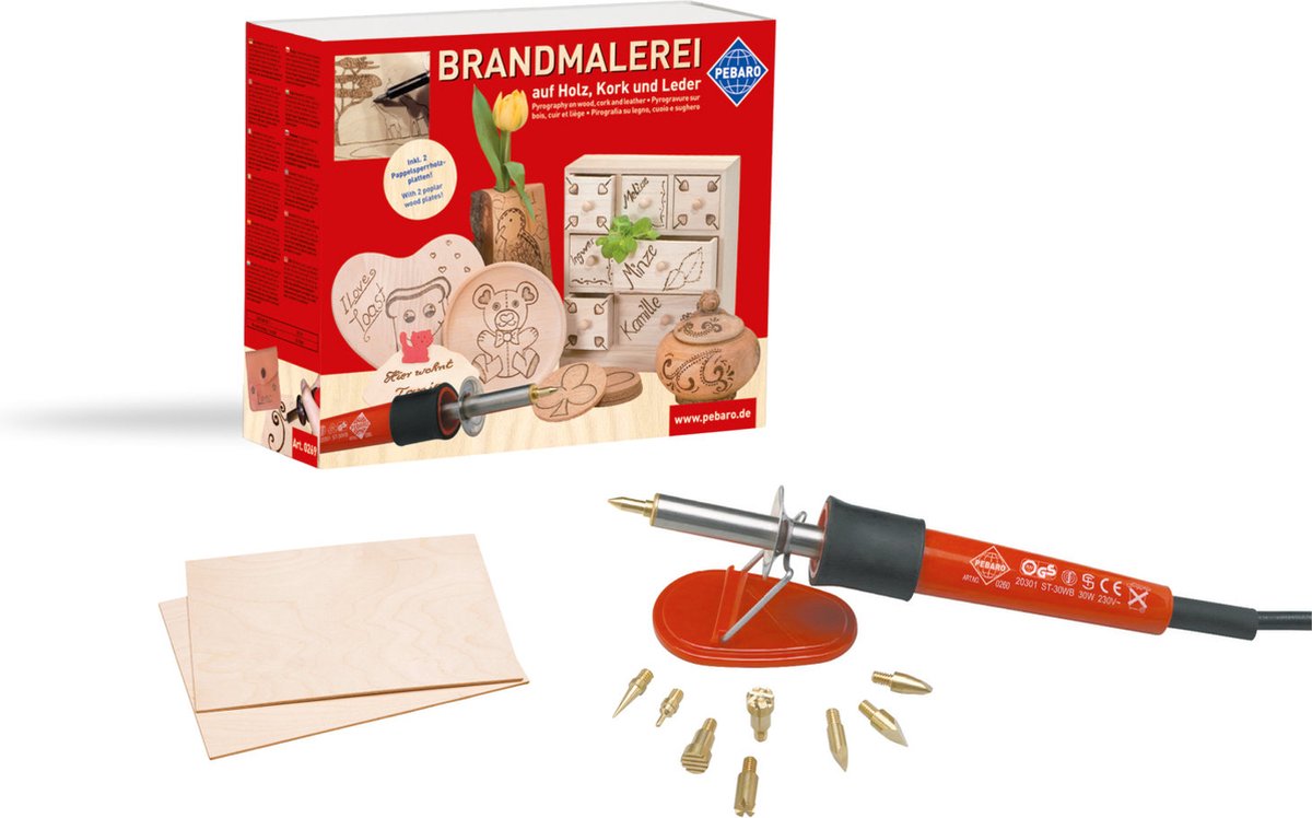 Ensemble de chauffage au bois Pebaro 0269