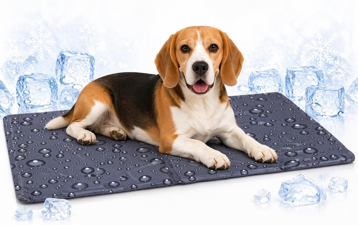 Tapis rafraîchissant Flamingo chien - tapis rafraîchissant chat - m - 70x50 cm - gris réglisse - tapis d'été rafraîchissant avec gel et mousse - imperméable