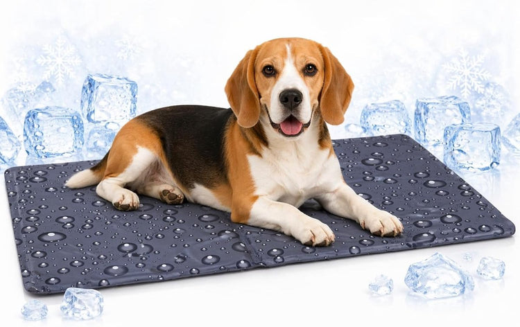 Tapis rafraîchissant Flamingo chien - tapis rafraîchissant chat - m - 70x50 cm - gris réglisse - tapis d'été rafraîchissant avec gel et mousse - imperméable