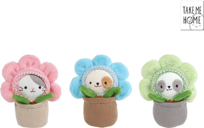 Peluche chat en pot Take Me Home - 16 cm