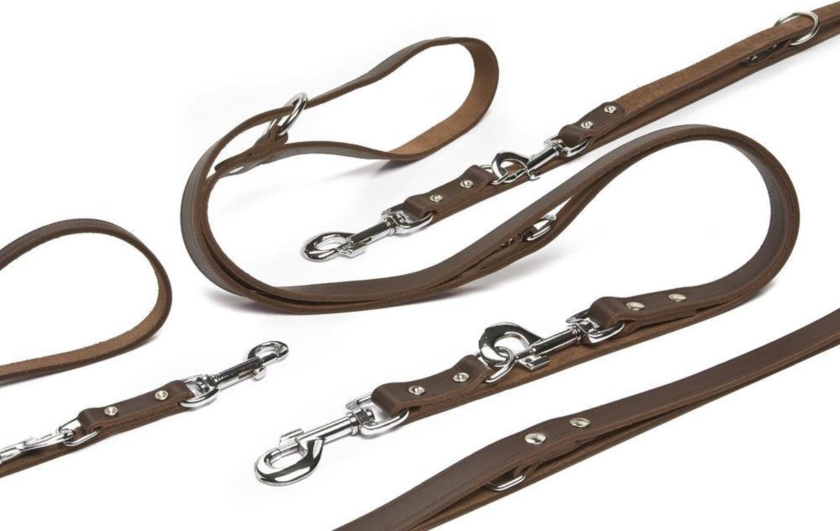 Beeztees - laisse pour chien - cuir - marron - 200x12 cm