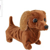 Teckel chien courant interactif Take me home - 19cm
