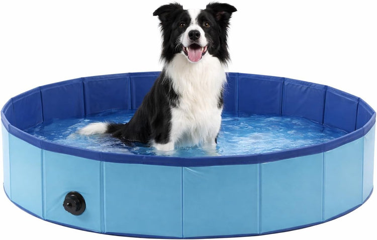 Piscine pour chien Flamingo 120 cm - Piscine pour chien pliable - Piscine pour chiens - Bleu - Piscine rafraîchissante - Sans pompe à air