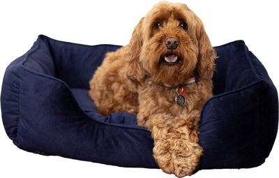 Lit pour chien en velours de luxe en bois de rose - petit - lit pour chien doux et confortable - bleu marine - chaise longue élégante pour chiens et chats - 46 x 36 cm