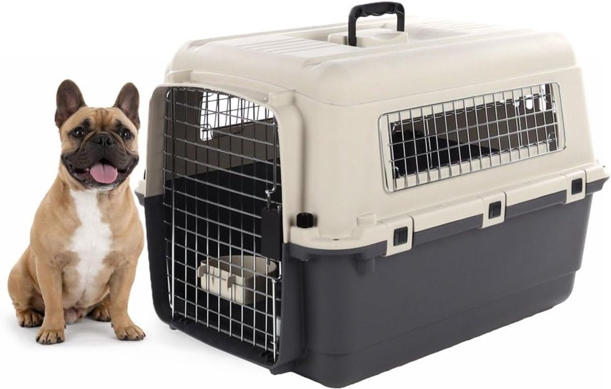 Caisse de voyage Flamingo pour chien – caisse de voiture – caisse de transport pour chien – fomad gris foncé m (53x67x47 cm) – plastique – avec serrure de sécurité de porte en métal – avec bol à nourriture et à boisson –
