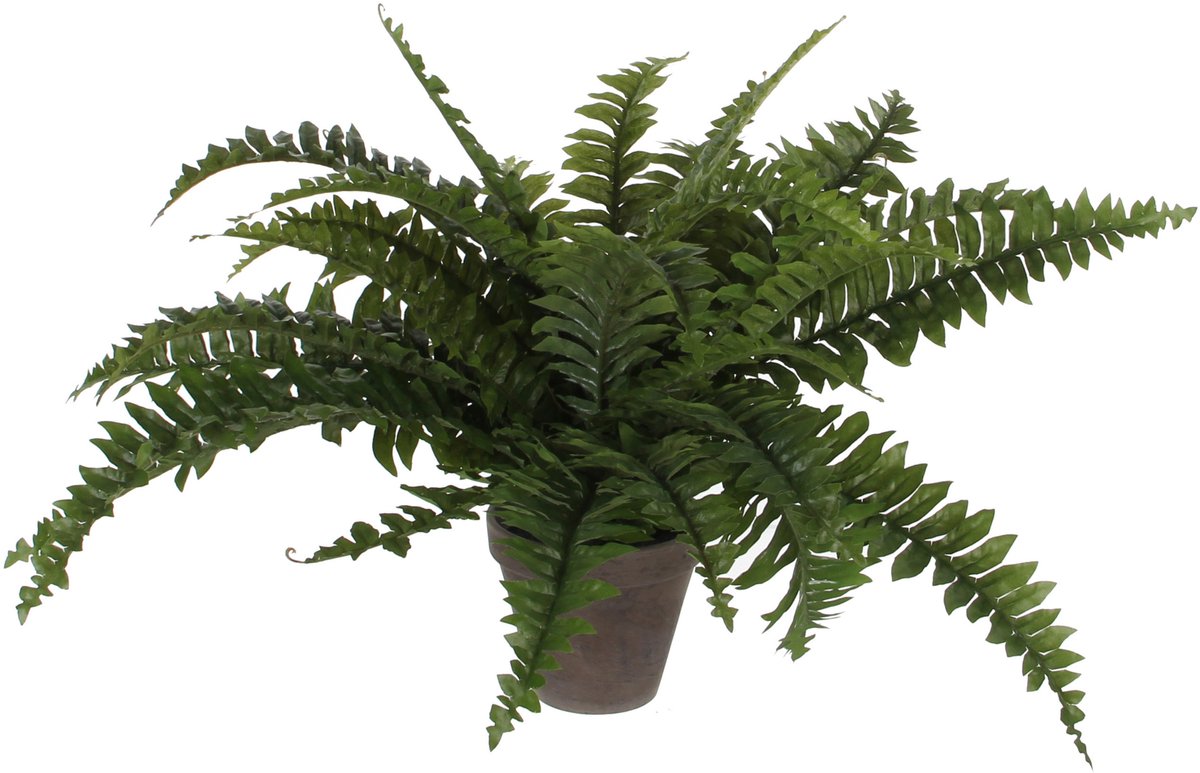 Mica décorations plante de fougère artificielle - vert - en pot en terre cuite - h42 cm - fausse plante - plantes artificielles fausses plantes