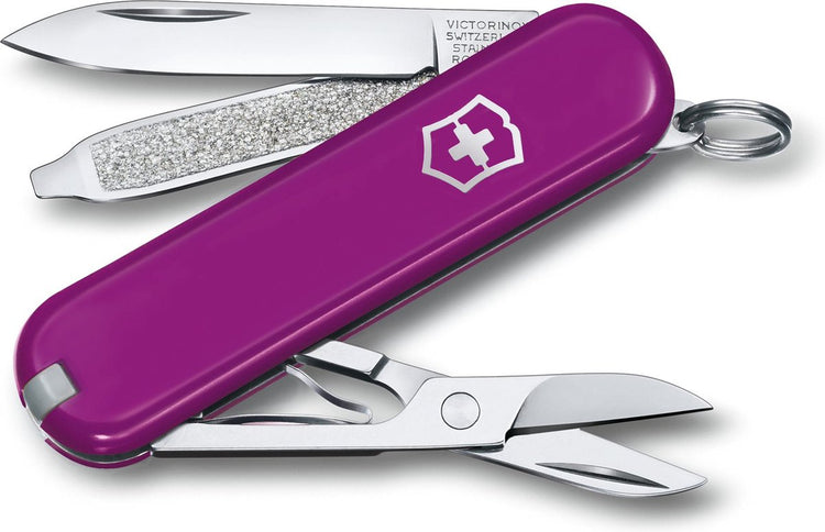 Couteau de poche Victorinox classic SD - raisin savoureux - 7 fonctions - acier inoxydable