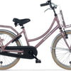 Alpina Cargo M22 Bois Rose Mat
