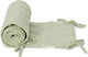 Petite bordure de boîte hollandaise – verte – essentiels