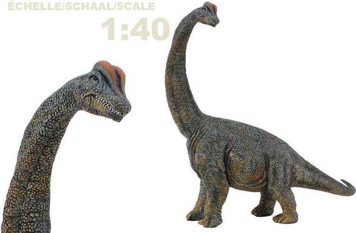 Figurine Collecta - brachiosaure - 1:40 - préhistoire - peint à la main - dinosaure - miniature